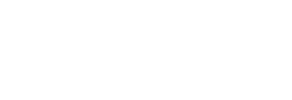 SMEG-1